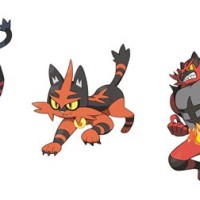 Pokemon Sun And Moon Litten Evolution Chart