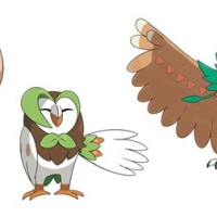 Pokemon Sun And Moon Rowlet Evolution Chart