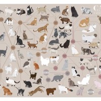 Pop Chart Lab Cats