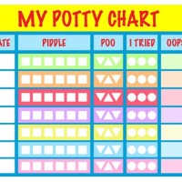 Potty Training Reward Chart Kmart