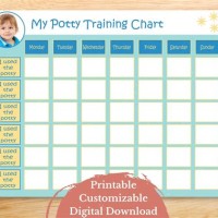 Potty Training Schedule Chart