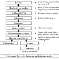 Poultry Processing Flow Chart