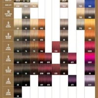 Pravana Demi Permanent Hair Color Chart