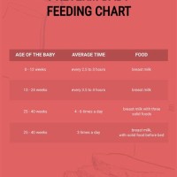 Pre Baby Feeding Chart