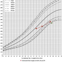 Pre Birth Growth Chart