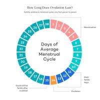 Pregnancy Chart To Get Pregnant