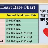 Pregnancy Fetal Heart Rate Chart