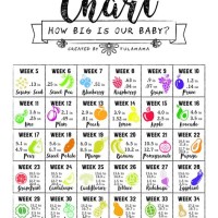 Pregnant Baby Size Chart