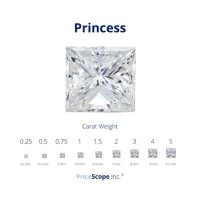 Princess Cut Diamond Clarity Chart