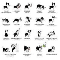 Printable Dog Body Language Chart