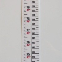 Printable Height Chart For Wall In Inches