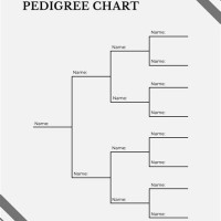 Printable Pedigree Charts Blank