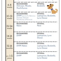 Printable Pet Vaccination Chart