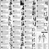 Printable Weider 8530 Exercise Chart