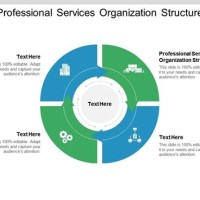 Professional Services Anization Chart