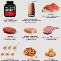 Protein Chart For Bodybuilding