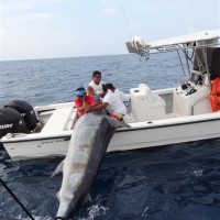 Puerto Vallarta Mexico Fishing Charters