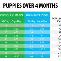 Puppy Feeding Chart By Weight Age Kg