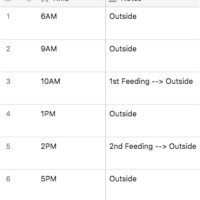 Puppy Potty Training Schedule Chart