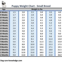 Puppy Weight Chart In Grams