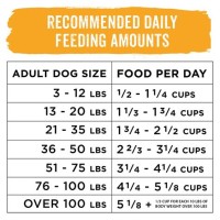 Purina Dog Chow Food Chart