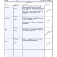 Puter Charting For Nurses