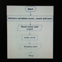 Q1 Draw A Flowchart To Add Two Numbers Entered By User