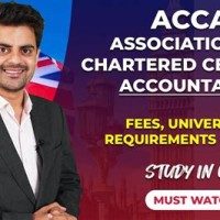 Qualified Chartered Accountant Uk