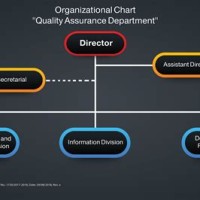 Quality Department Anization Chart