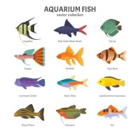 R Aquarium Fish Chart