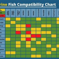 R Fish Patibility Chart