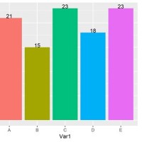 R Ggplot2 Bar Chart Labels