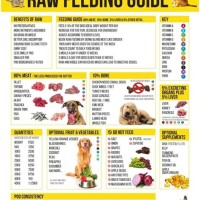 Raw Dog Food Feeding Chart