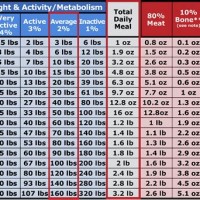 Raw Feeding Dog Weight Chart