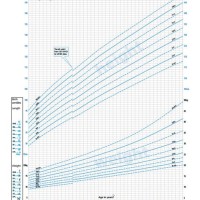 Rcpch Growth Charts Boy 2 18