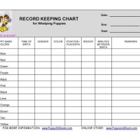 Record Keeping Chart For Whelping Puppies