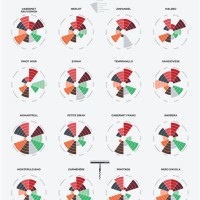 Red Wine Flavor Chart