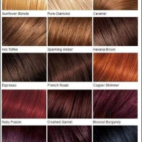 Reddish Brown Hair Color Chart Loreal