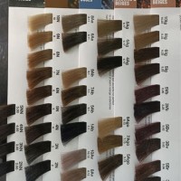 Redken Chromatics Color Chart 2020