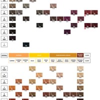 Redken Chromatics Color Chart