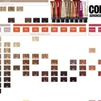 Redken Color Fusion Chart 2019