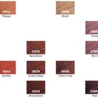 Redken Color Gels Chart 2020