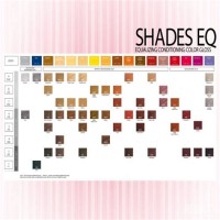 Redken Shades Color Chart