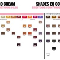 Redken Shades Eq Cream Cover Plus Color Chart