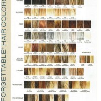 Revlon Hair Color Chart 2020