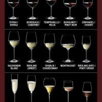 Riedel Wine Gl Chart