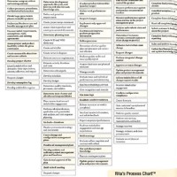 Rita S Process Chart 8th Edition Excel