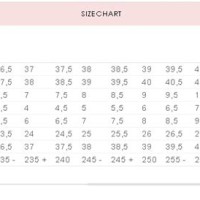 Roger Vivier Size Chart