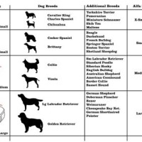 Round Dog Bed Size Chart