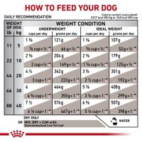 Royal Canin Gastrointestinal Canned Dog Food Feeding Chart